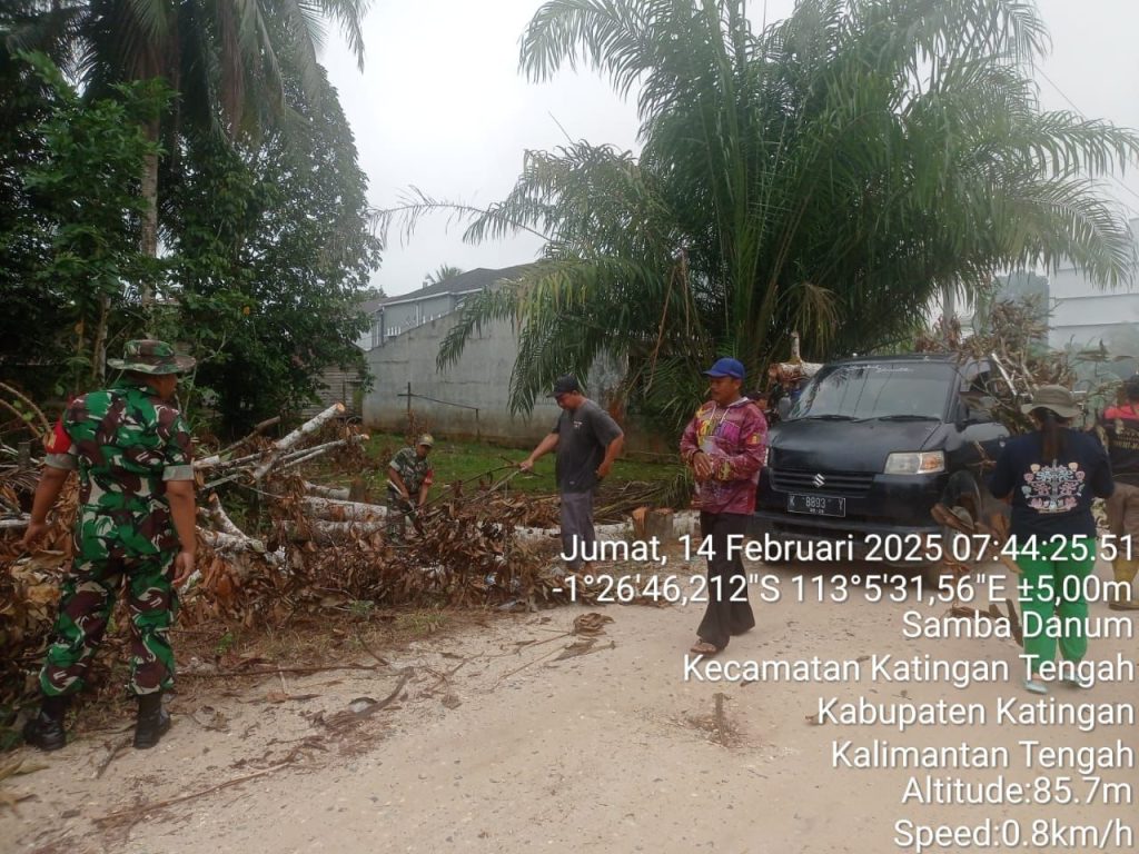 IMG-20250214-WA0007