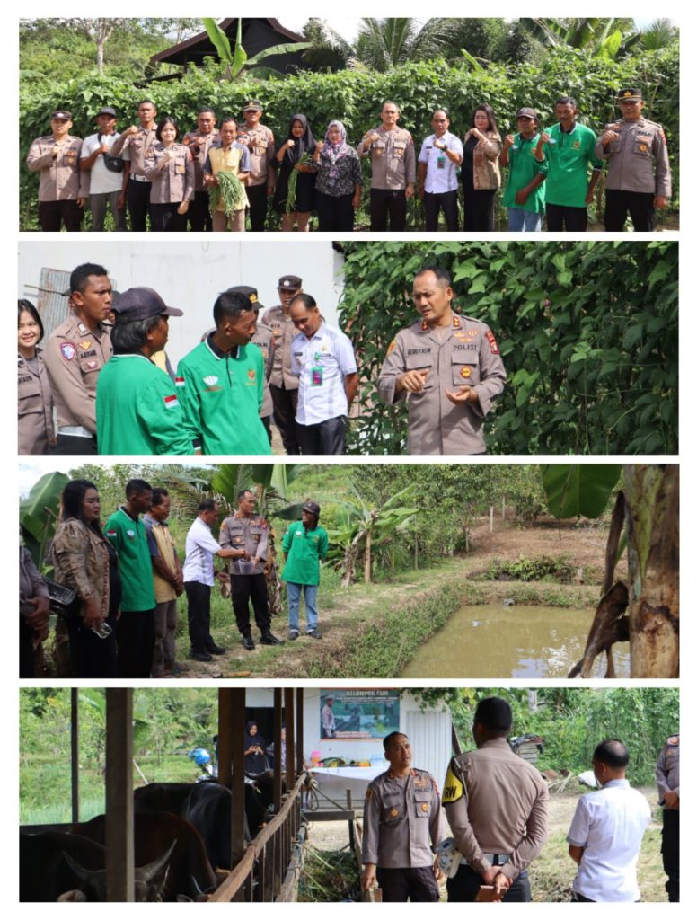 pantau pekarangan bergizi