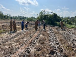 LAHAN JAGUNG KADES DESA TUMBANG