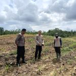 Kapolres Gunung Mas Tinjau Kebun Jagung Dukung Ketahanan Pangan
