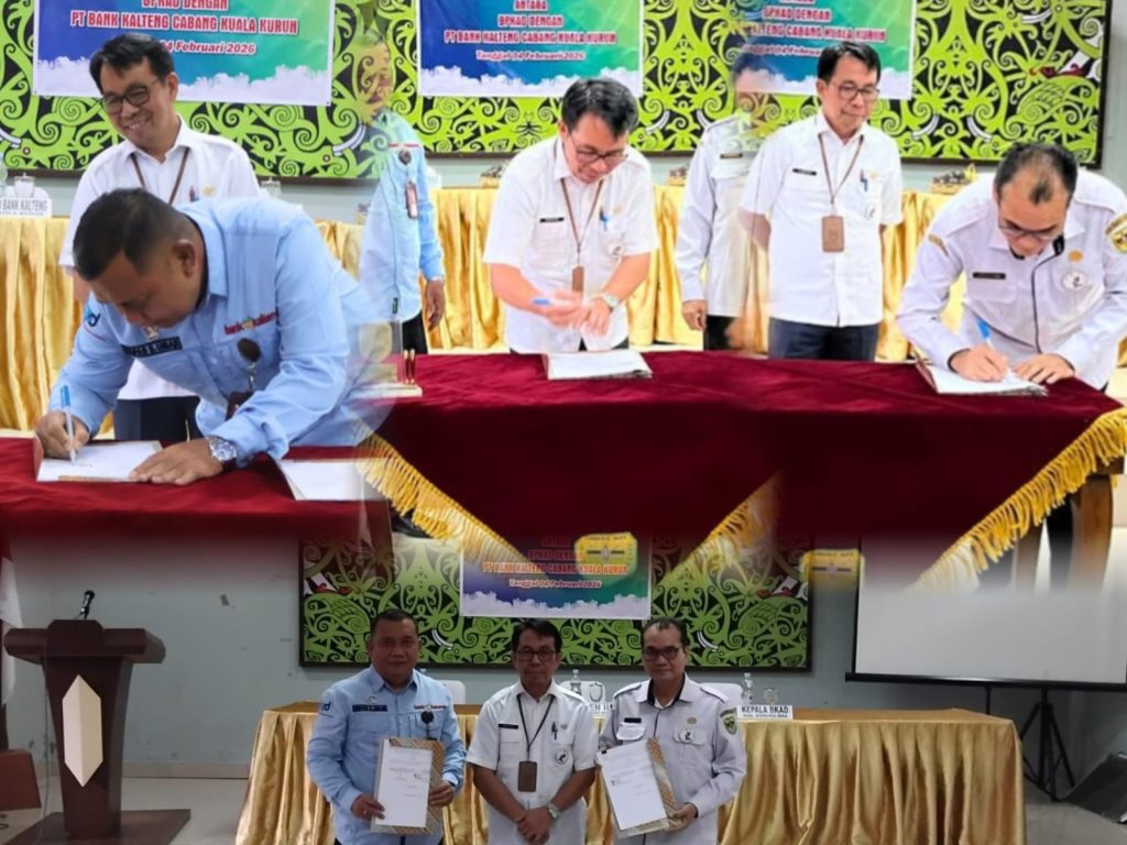 WhatsApp Image 2026-02-06 at 22.04.28