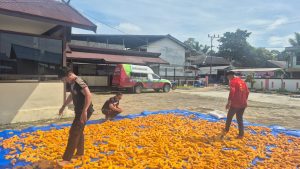 WhatsApp Image 2026-02-07 at 14.10.12