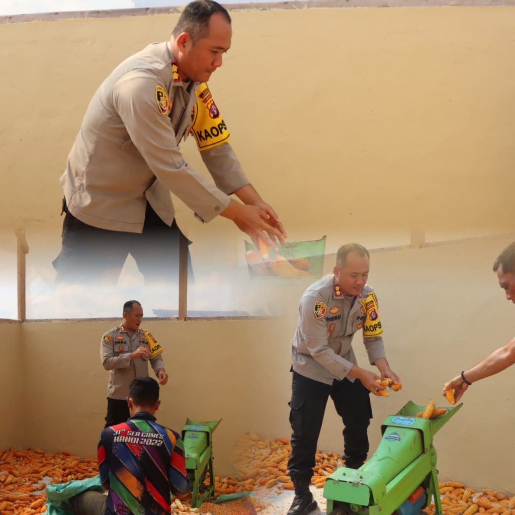 WhatsApp Image 2026-02-10 at 06.39.42