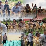Polres Gunung Mas Panen Raya Jagung di Lahan Dinas Polri