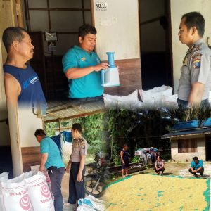 WhatsApp Image 2026-03-14 at 07.42.06