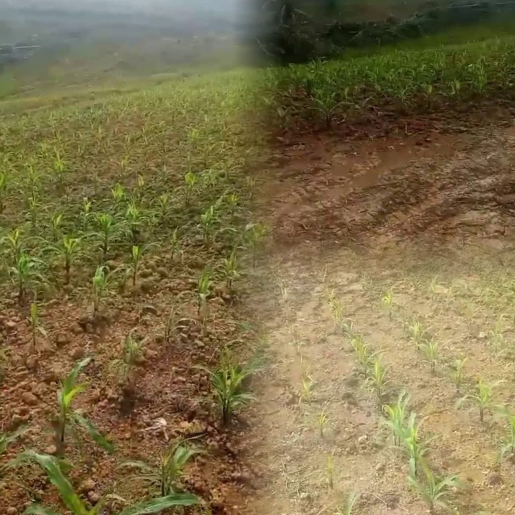 WhatsApp Image 2026-03-28 at 13.28.03