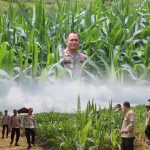 Kapolres Gunung Mas Tinjau Perkembangan Lahan Jagung, Pastikan Program Ketahanan Pangan Berjalan Optimal