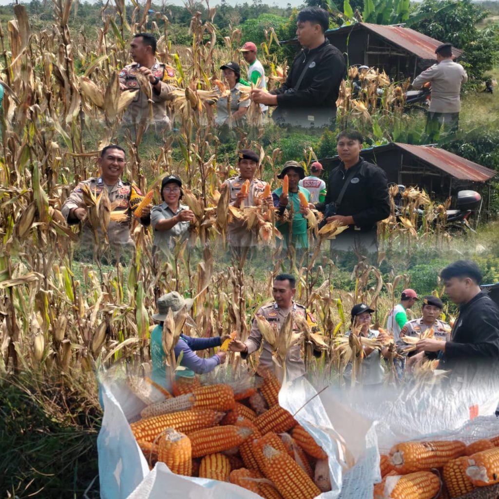 WhatsApp Image 2026-03-28 at 13.42.52