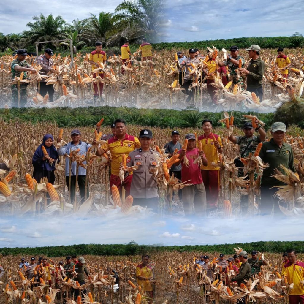 WhatsApp Image 2026-04-11 at 12.41.21