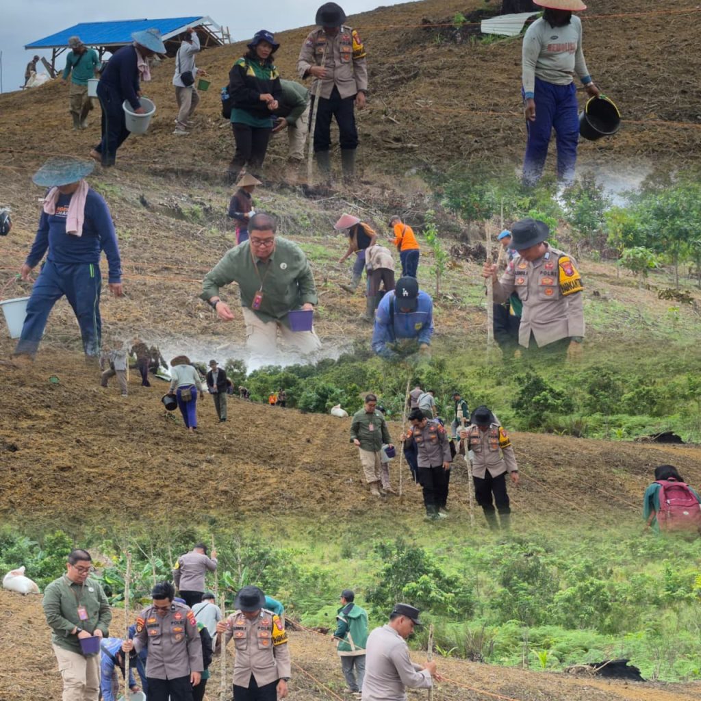 WhatsApp Image 2026-04-24 at 06.01.58