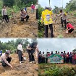 Polsek Rungan Tanam Jagung Hibrida di Gunung Mas, Dukung Program Ketahanan Pangan