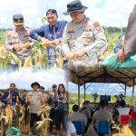 Polres Gunung Mas Panen 12 Ton Jagung dalam Panen Raya Kuartal II 2026